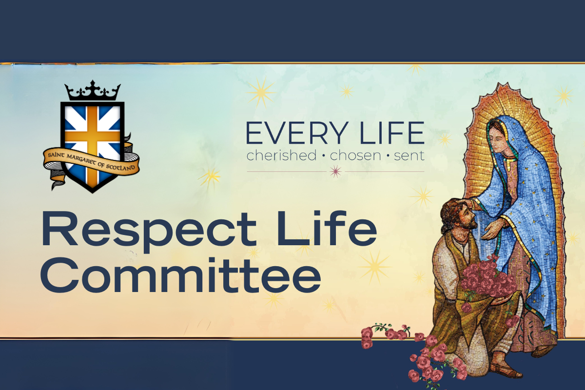 respect life essay contest